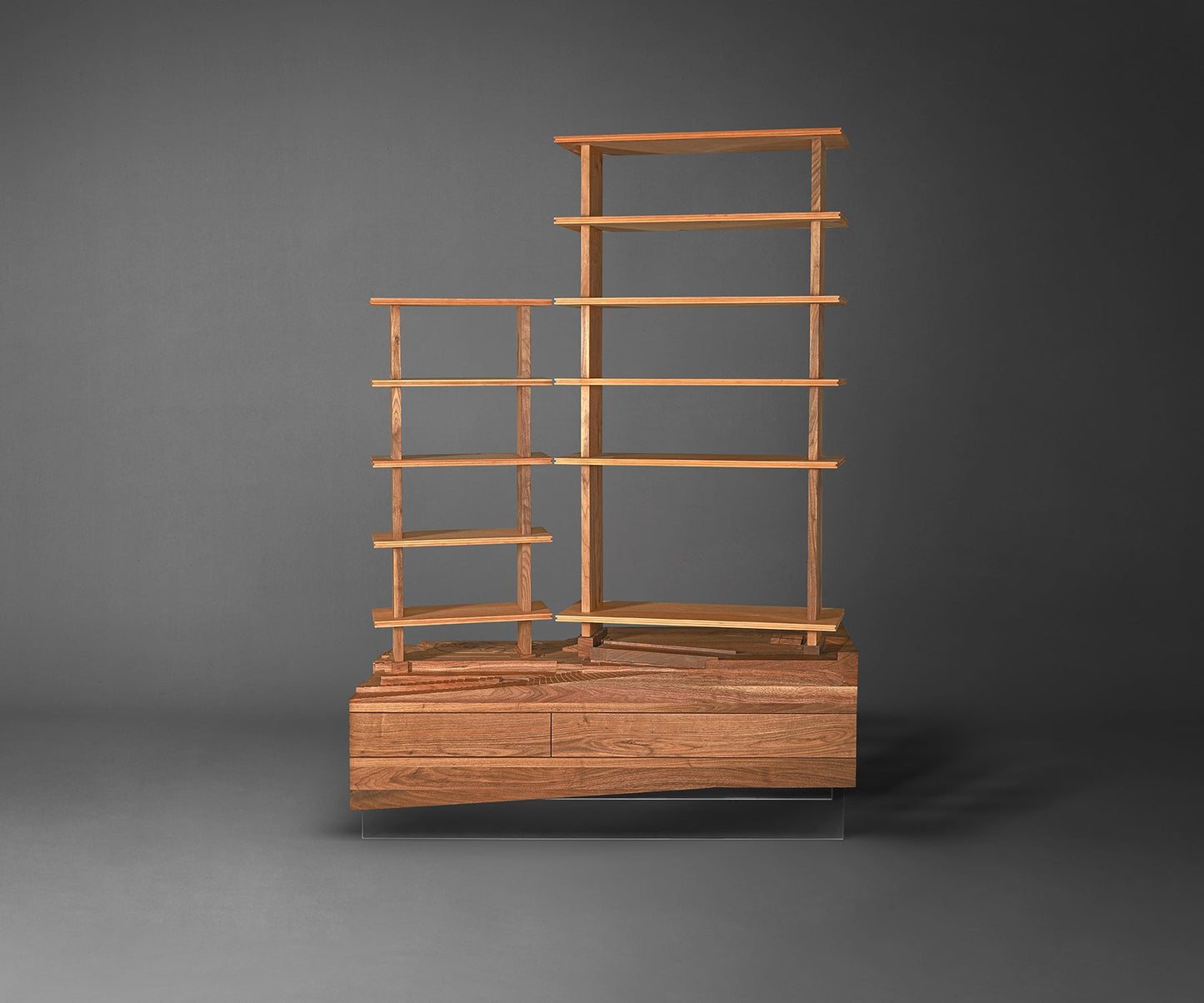 Palodia Bookshelf
